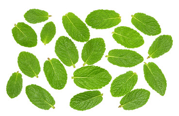 Mint leaves on a white top view