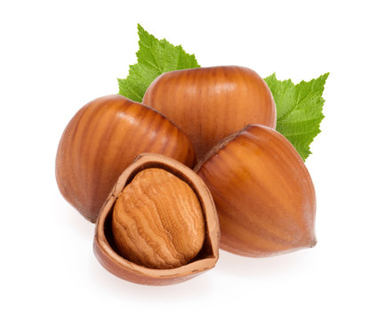 Hazelnuts isolated on white background