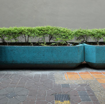 街角の風景 植物 植え込み 壁 Street corner landscape Plant wall