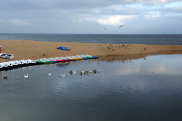 Patinetes de playa 1