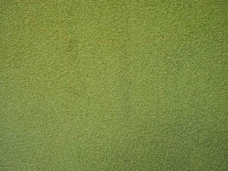 granular light green texture