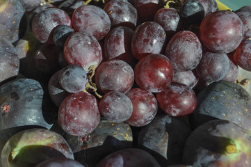 red grape and fig fruit food