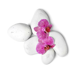 Spa stones with orchid flowers on white background, top view