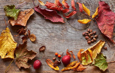 Autumn background with dried autumn leaves, dried mushrooms and cedar nuts with copy space