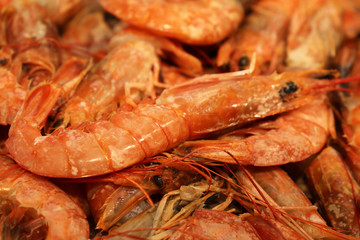Red shrimp close-up. Fresh prawns on fish market