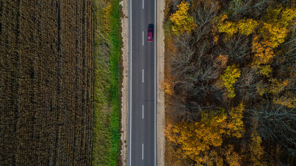 Aerial view of road in autumn forest at sunset. Amazing landscape with rural road, trees with red and orange leaves in a day near the corn field.