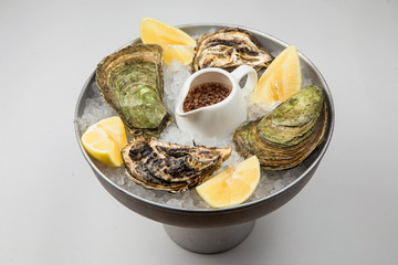 Fresh Oysters close-up