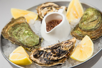 Fresh Oysters close-up