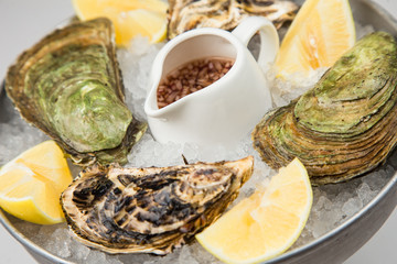 Fresh Oysters close-up
