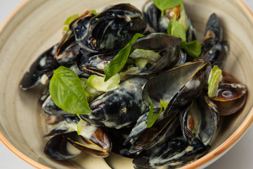 Mussels in a white ream sauce