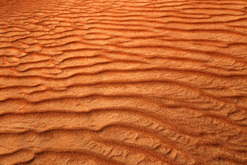 Fototapeta na wymiar Dune in a desert. Sand texture background
