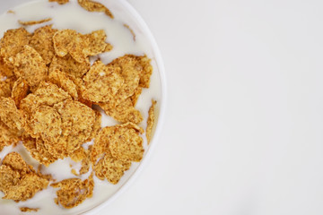 Cornflakes with milk on a white background