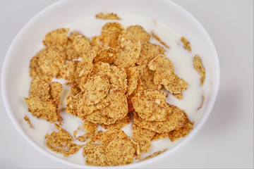 Cornflakes with milk on a white background