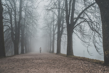 Alone woman walking in foggy autumn alley
