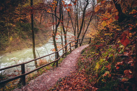 Autumn landscape.The famous Vintgar gorge canyon with wooden pats, beauty of nature, with river Radovna flowing through it, and the old bridge ,near Bled,Triglav,Slovenia,Europe