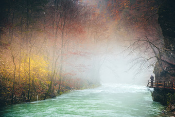 Autumn landscape.The famous Vintgar gorge canyon with wooden pats, beauty of nature, with river...