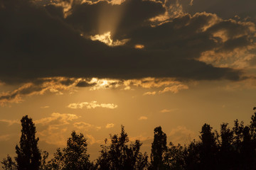 Dark clouds with sun rays and tree beams
