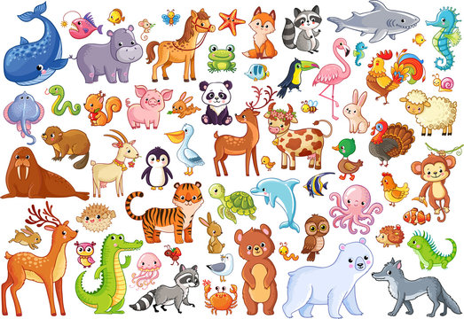 Vector set of animals. Home favorites. Mammals.