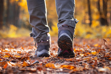 Woman is wearing hiking boot and walking on footpath in forest at autumn.