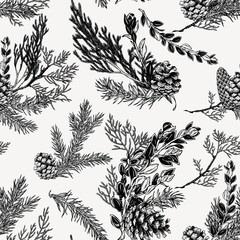 Winter seamless pattern with bouquets of evergreen plants and cones. Hand drawn botanical illustration. Christmas decoration.