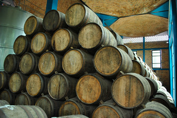 Barrels full of tequila in a warehouse