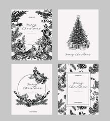 Christmas card set in vintage style. Hand drawn botanical collection of greeting template for winter holidays.