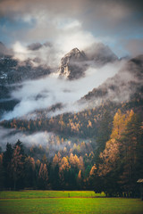Autumn in mountains. Clouds and mist in orange forest under massive rock wall