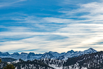 Tree covered with snowPanoramic view of the Pyrenees covered with snow in under a cloudy sky
