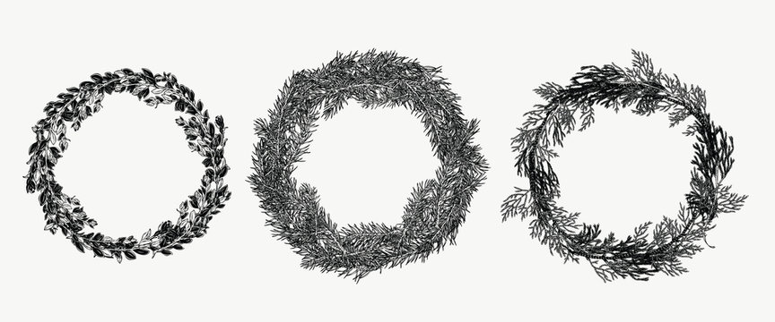 Hand drawn collection of evergreen wreath in vintage style. Botanical illustration for holiday decor.
