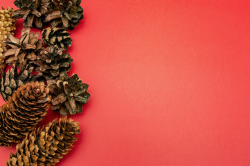 spruce and pine cones on a red background card celebration Christmas new year