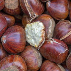 one open on closed chestnuts, natural background