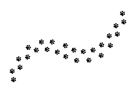 Paw vector  foot trail print of cat. Dog, silhouette animal diagonal track