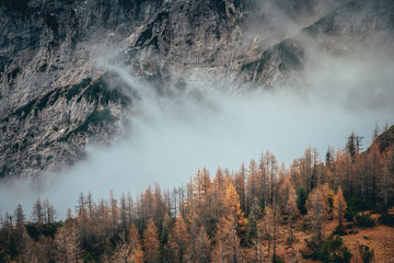 Autumn mist in Alps mountains
