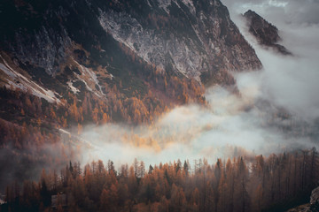 Clouds in orange autumn mountains valley. November in Alps forest