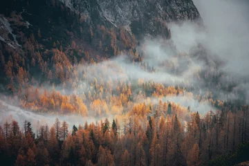 Gordijnen Mist in de herfst oranje bos. Alpen bergen © kovop58