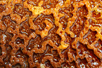 Blurred Abstract Background Texture. Colorful Abstract Brown Background. Colorful Wall Texture.
