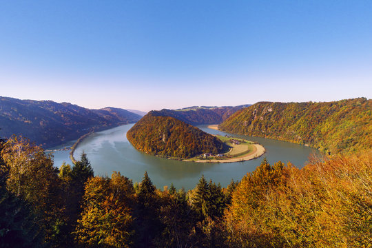 Schl&ouml;gener Donauschlinge