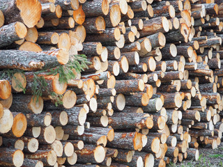 Close-up of raw de-barked wood logs in a lumber staging. Raw timber stacked and ready to begin to be transformed into lumber and paper products - awaiting shipping. A lot of cutted logs.