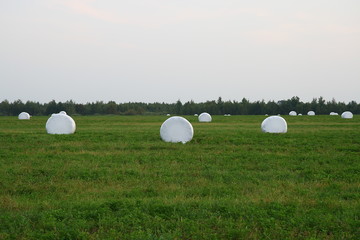 Stacks of hay on the field, in special packaging.