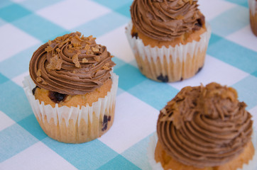 Tasty cookies and muffins cakes with chocolate cream decorated with sugar candies on a blue checkered tablecloth