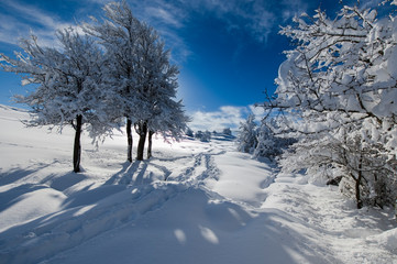 inverno