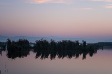 Fototapeta na wymiar Reeds and Silhouettes of Hills at Dawn