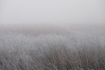 Obraz na płótnie Canvas Frozen, foggy winter landscape