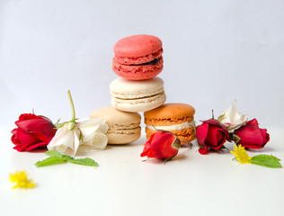 beautiful rose and assortment of macarons