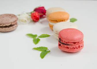 beautiful rose and assortment of macarons