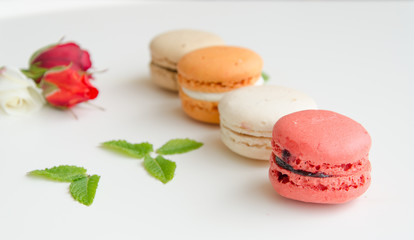 beautiful rose and assortment of macarons