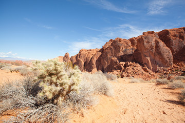 red sandstone rock formations in the Valley of Fire State Park in Nevada USA