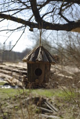 birdhouse on tree