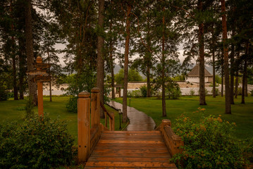 Wooden road in the forest