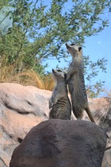 so&ntilde;ando estar afuera